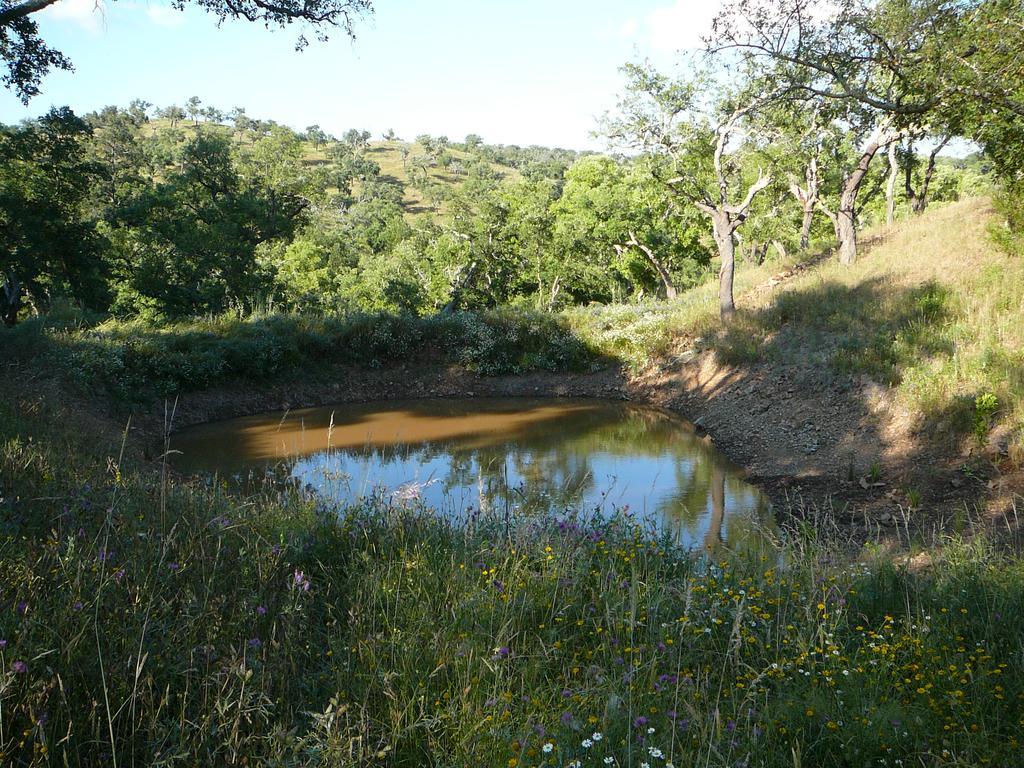 Monte Da Ameira Roncão Zewnętrze zdjęcie